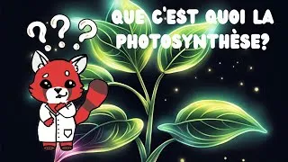 Miniature : Que c'est quoi la photosynthèse? Explication scientifique simple