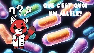 Miniature : Que c'est quoi un allèle? Explication scientifique simple