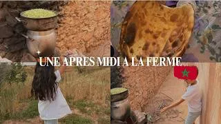 Miniature : 🐑 APRÈS-MIDI À LA FERME 🌿 AVEC MES ENFANTS 💛 SIMPLICITÉ & BONHEUR