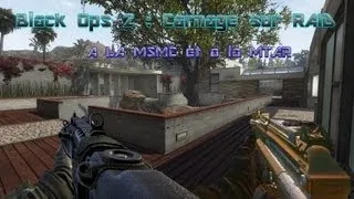 Miniature : [BO2]Carnage sur RAID