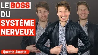 Miniature : C'est Quoi Le Nerf Vague ?