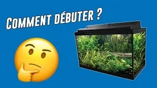 Miniature : Débuter son premier aquarium?