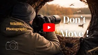 Miniature : Don't move | Wildlife Photography at the Water's Edge