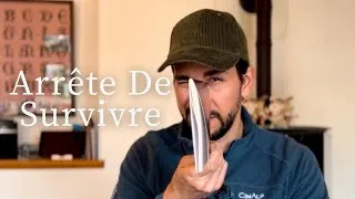 Miniature : Si tu es en mode Survie, regarde ça