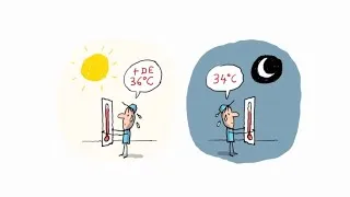 Miniature : Canicule 2024 : Comment Rester au Frais