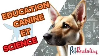 Miniature : QUAND LA SCIENCE PARLE DES CHIENS (QE n°15 conférence pour le Pet Revolution 2024)