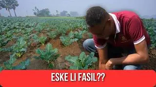 Miniature : Kijan Pou Fè Biznis nan Bénin? (Eksperyans Reyèl Dyaspora) (Pati 2)