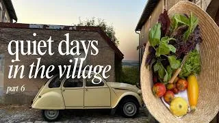 Miniature : Village life in France: small moments of joy in being here and now.
