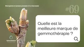 Miniature : #69 Quelle est la meilleure marque de gemmothérapie ?