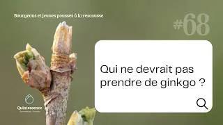 Miniature : #68 Qui ne devrait pas prendre de ginkgo biloba ?