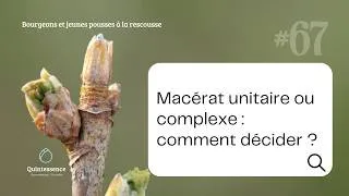 Miniature : #67 Macérat unitaire ou complexe : comment décider ?