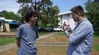 Miniature : Steve Casseville - Les trois strates des végétaux