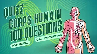 Miniature : Quiz de 100 questions sur le corps humain