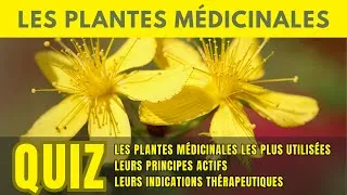 Miniature : Quiz Plantes médicinales : 20 plantes les plus utilisées en phytothérapie | Réponses détaillées 🌿