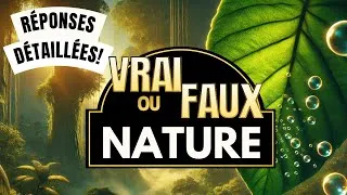 Miniature : 🌱 25 Vrai ou Faux : Connaissez-vous vraiment le monde naturel ?