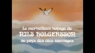 Miniature : Le Merveilleux Voyage de Nils Holgersson au pays des oies sauvages (1980)