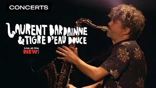 Miniature : Laurent Bardainne & Tigre d'Eau Douce - Insolente | Live at New Morning
