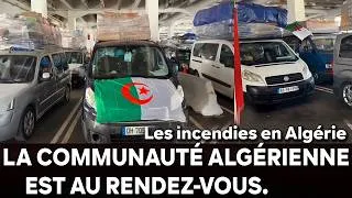 Miniature : Algérie  La diaspora algérienne au rendez vous dans l'épreuve    les feux de forêt