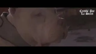 Miniature : ROHFF - PITT CPLS (CLIP OFFICIEL)