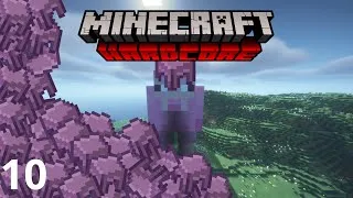 Miniature : Ferme à Laine et Shulker à l'infini - E10 | Lets Play Minecraft Hardcore