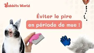 Miniature : La mue : Éviter le pire !