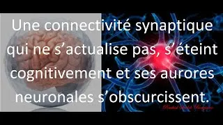Miniature : لقلب يحتو ي على عقل صغير   Le Neurone Cardiaque