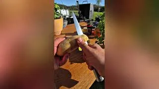 Miniature : 5 recettes Pour l'été au barbecue qui déchire 🔥