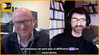 Miniature : Municipales 2026 à Ramonville : Ramonville Écologie détaille six propositions