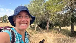 Miniature : [Vlog] Des nouvelles de mon Chemin en Catalogne
