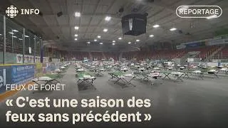 Miniature : Feux de forêt : 10 communautés évacuées, de la nourriture et des lits préparés à Thunder Bay