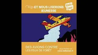 Miniature : Incendie! Canadairs à la rescousse