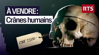 Miniature : Le business macabre de restes humains | RTS