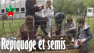 Miniature : Timelapse - Repiquage et semis