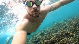 Miniature : Je ne m'attendais pas à découvrir ça au Vietnam 🪸🐠🇻🇳