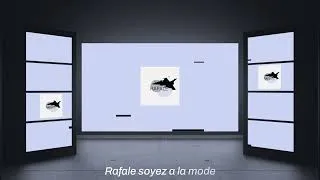 Miniature : Rafale soyez a la mode !