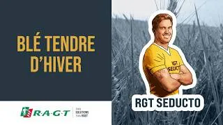 Miniature : RGT SEDUCTO - Conférence de presse
