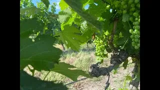Miniature : Présentation Raid Wine 2023