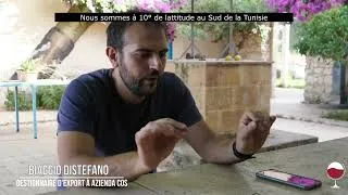 Miniature : Azienda COS en Sicile : blocages de maturité du raisin et taux d'alcool bas dans les vins