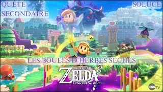 Miniature : Les boules d'herbes sèches - Zelda : Echoes of Wisdom - Quête secondaire - Soluce
