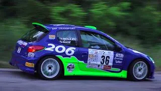 Miniature : Rallye du Gard 2026 - Show & Mistakes - RallyeFix