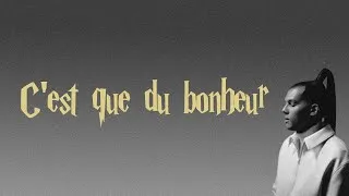 Miniature : Stromae - C’est que du bonheur (Paroles)