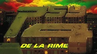 Miniature : PSY 4 DE LA RIME - LE SON DES BANDITS (REMIX REGGAE) 🇲🇱🏴‍☠️🔥