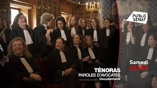 Miniature : Ténoras, paroles d'avocates (documentaire) - Bande annonce - film avocates pénalistes