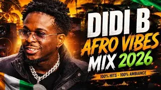 Miniature : Didi B Afro Vibes Mix 2026