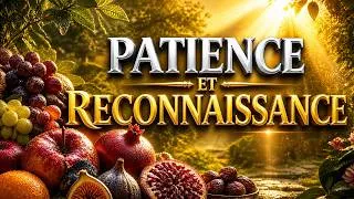 Miniature : Les fruits de la patience et de la reconnaissance