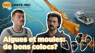 Miniature : RAQ'CONTE-MOI comment algues et mollusques s’entraident en mer