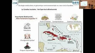 Miniature : Étienne Bezault explique l’écologie moléculaire et la conservation dans la Caraïbe