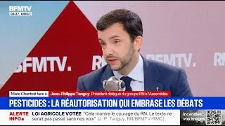 Miniature : 🔴 JEAN-PHILIPPE TANGUY est l'invité du FACE À FACE sur BFMTV !