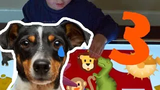 Miniature : On classe les animaux ! (Episode 3)