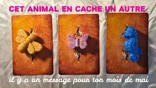 Miniature : UN ANIMAL A UN MESSAGE POUR TOI pour ton mois de mai 🪲 3 choix #guidance #spiritualité